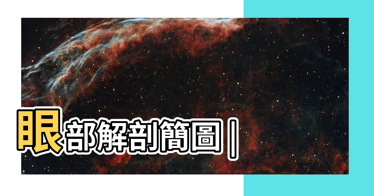 【眼睛部位】眼部解剖簡圖 |