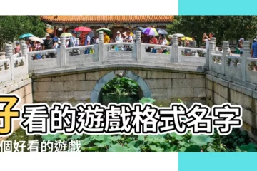 【好看的字名字格式】好看的遊戲格式名字 |求個好看的遊戲名字格式 |共334個 |
