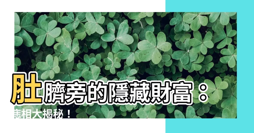 【肚臍旁邊有痣】肚臍旁的隱藏財富：痣相大揭秘！