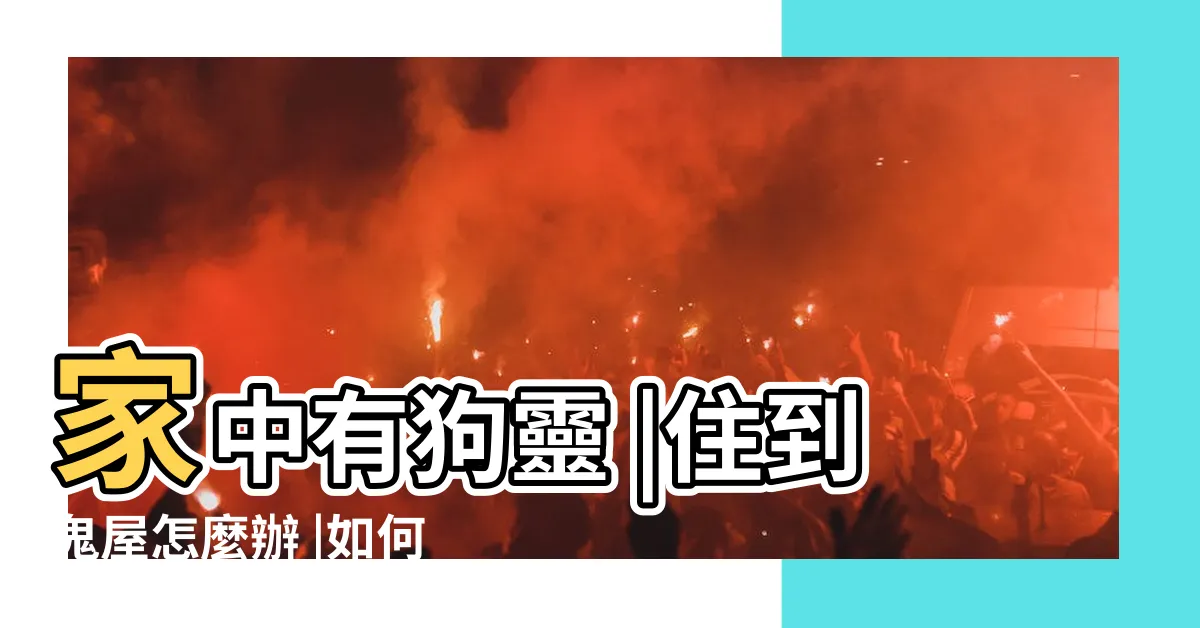【家裡有動物靈】家中有狗靈 |住到鬼屋怎麼辦 |如何讓動物靈順利回去冥界報到 |