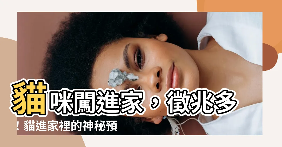 【貓進家裡】貓咪闖進家，徵兆多！貓進家裡的神秘預示，小心影響家居氣場！