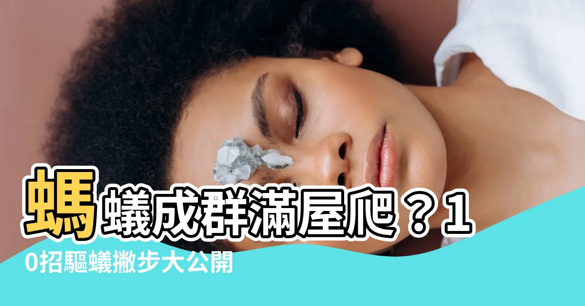 【螞蟻成羣】螞蟻成羣滿屋爬？10招驅蟻撇步大公開