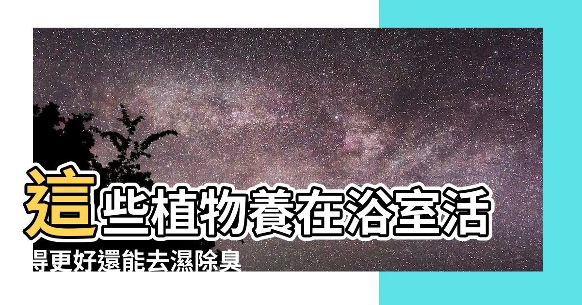 【淨化廁所植物】這些植物養在浴室活得更好還能去濕除臭 |推薦這6種 |黃金葛可以吸收甲醛 |
