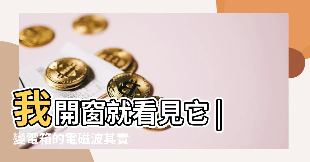 【變電箱 電磁波】我開窗就看見它 |變電箱的電磁波其實很低 |嫌惡設施 |