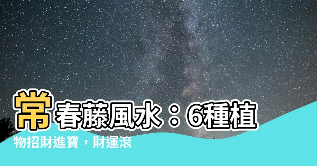 【常春藤風水】常春藤風水：6種植物招財進寶，財運滾滾的秘密