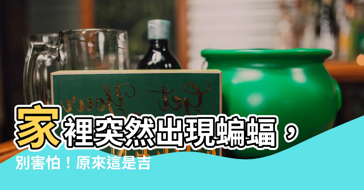 【家裡突然出現蝙蝠】家裡突然出現蝙蝠，別害怕！原來這是吉兆，大財即將到來！