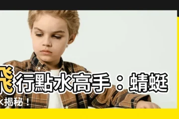 【蜻蜓點水】飛行點水高手：蜻蜓點水揭秘！