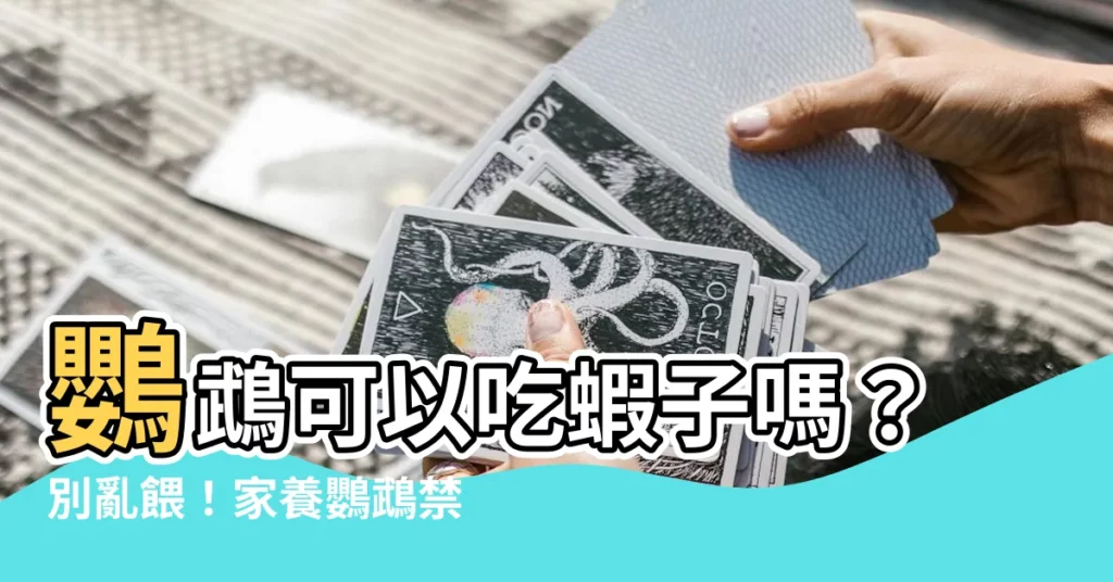 【鸚鵡可以吃蝦子嗎】鸚鵡可以吃蝦子嗎？別亂餵！家養鸚鵡禁吃這幾種食物