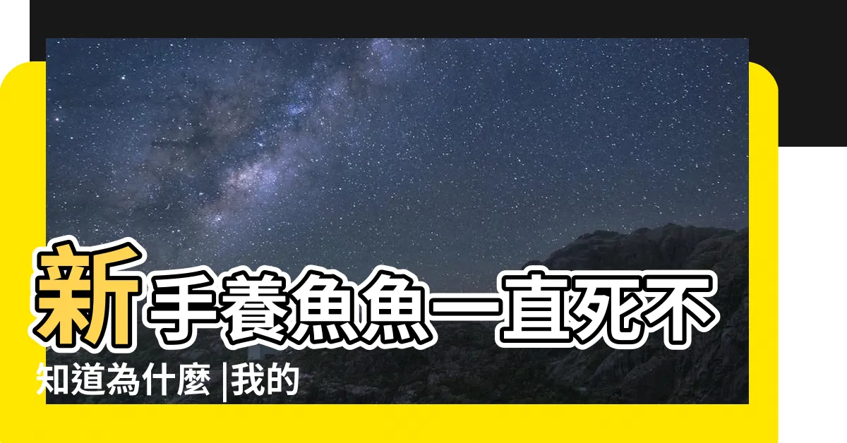 【魚一直死怎麼辦】新手養魚魚一直死不知道為什麼 |我的魚魚一直死掉怎麼辦 |最全面的 |