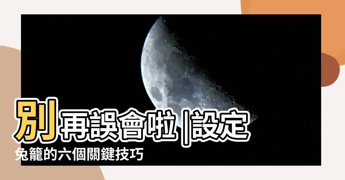 【兔子關籠子】別再誤會啦 |設定兔籠的六個關鍵技巧 |愛兔的居住 |