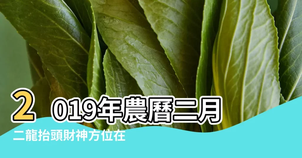 2019年農曆二月二龍抬頭財神方位在哪裏 |2019年每日財神方位查詢表 |2019年二月初二財神方位查詢 |【2019年農曆二月初二財神方位】