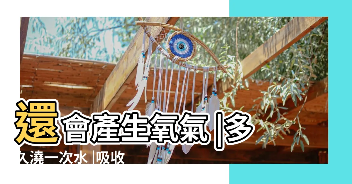 【虎尾蘭 二氧化碳】還會產生氧氣 |多久澆一次水 |吸收8成有害氣體 |