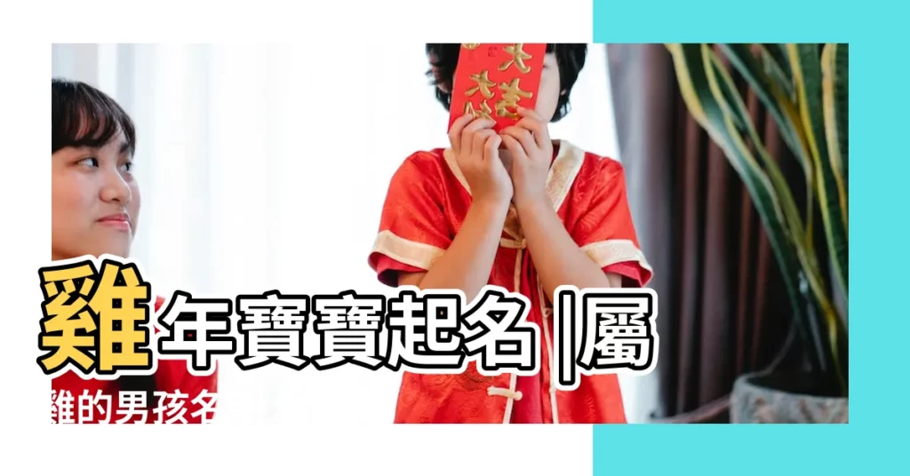 雞年寶寶起名 |屬雞的男孩名字大全集 |屬雞寶寶取名最適用的字 |【雞寶寶在線起名大全集】