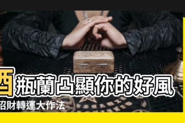 【酒瓶蘭風水】酒瓶蘭凸顯你的好風水 招財轉運大作法！
