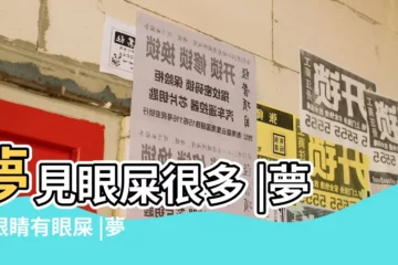 【做夢夢到自己好多眼屎】夢見眼屎很多 |夢見眼睛有眼屎 |夢見眼屎好多怎麼回事 |