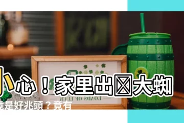 【家裏出現大蜘蛛】小心！家裏出現大蜘蛛竟是好兆頭？竟有這些「福氣」找上你！