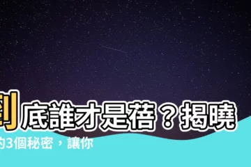 【蓓 意思】到底誰才是蓓？揭曉蓓的3個秘密，讓你秒懂蓓的意思！