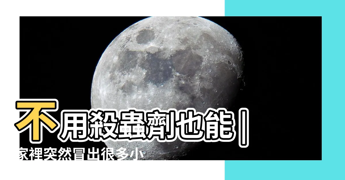 【家裡出現一堆螞蟻】不用殺蟲劑也能 |家裡突然冒出很多小螞蟻怎麼辦 |消滅螞蟻4方法 |