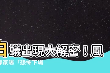 【白蟻 出現 代表 什麼 風水】白蟻出現大解密！風水專家曝「恐怖下場」