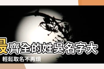 【姓吳的名字】最齊全的姓吳名字大全！輕鬆取名不再煩惱