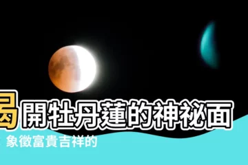 【牡丹蓮花語】揭開牡丹蓮的神秘面紗：象徵富貴吉祥的花卉語言