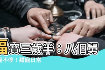 【福寶三歲半她被八個舅舅團寵了】福寶三歲半：八個舅舅寵不停！甜寵日常笑不停！