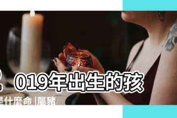 【2019年屬豬的孩子是什麼命】2019年出生的孩子是什麼命 |屬豬的人出生年份 |2019年出生的孩子是什麼命 |