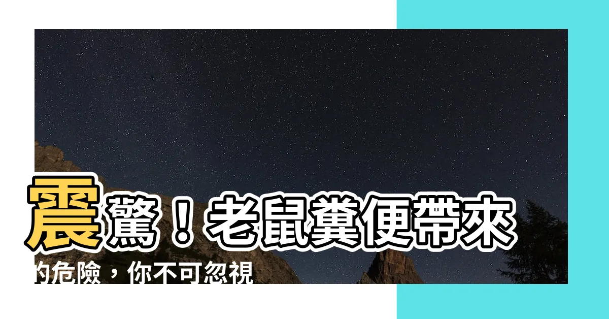 【老鼠糞便】震驚！老鼠糞便帶來的危險，你不可忽視！