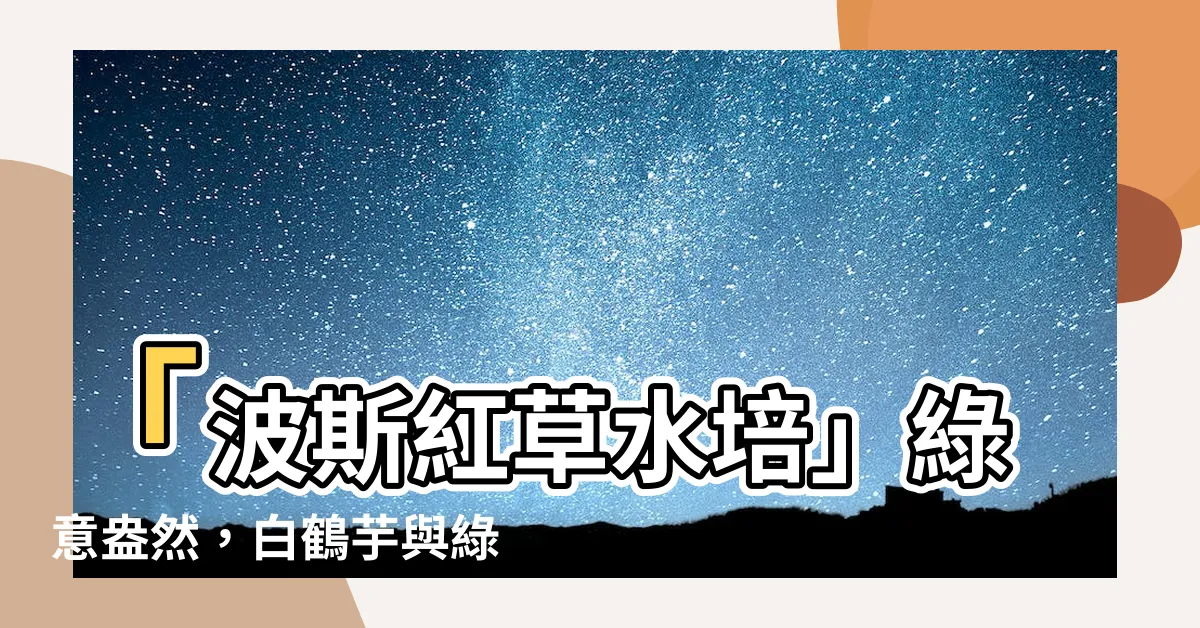 【波斯紅草水培】「波斯紅草水培」綠意盎然，白鶴芋與綠蘿共舞的優雅之選