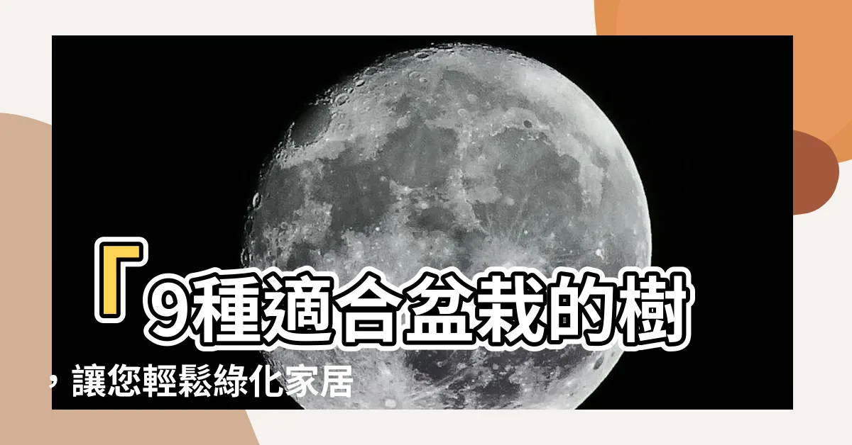 【適合盆栽的樹】「9種適合盆栽的樹，讓您輕鬆綠化家居！」
