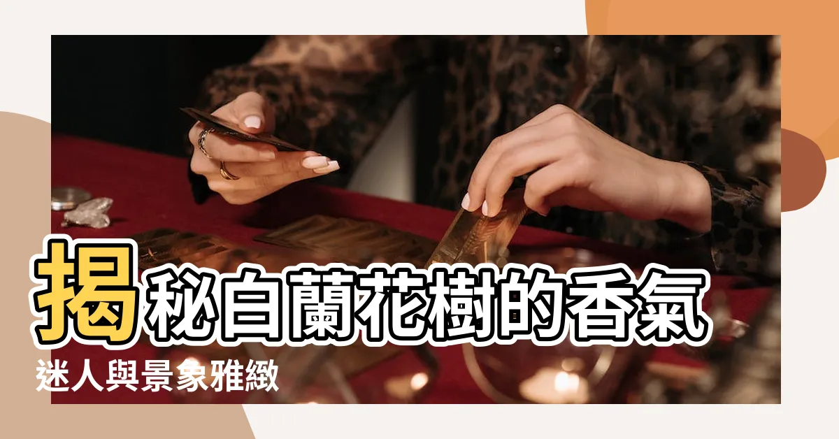 【白蘭花樹】揭秘白蘭花樹的香氣迷人與景象雅緻