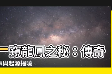【龍與鳳】一窺龍鳳之秘：傳奇故事與起源揭曉