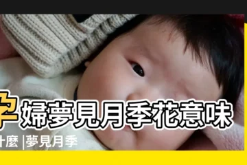 【孕婦夢見月季花種】孕婦夢見月季花意味著什麼 |夢見月季花 |做夢夢見月季花好不好 |