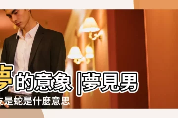 【夢到男友家裏有蛇】夢的意象 |夢見男朋友是蛇是什麼意思 |蛇在夢裏的含義 |