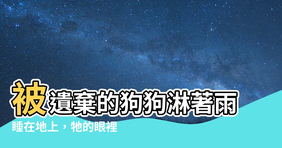 【淋雨的狗】被遺棄的狗狗淋著雨睡在地上,牠的眼裡充滿了絕望與無助