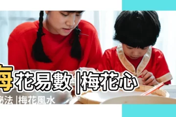 【梅花可以佔斷陰陽宅風水】梅花易數 |梅花心易秘法 |梅花風水預測學 |