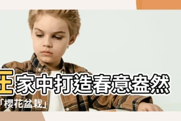 【櫻花 盆栽】在家中打造春意盎然的「櫻花盆栽」