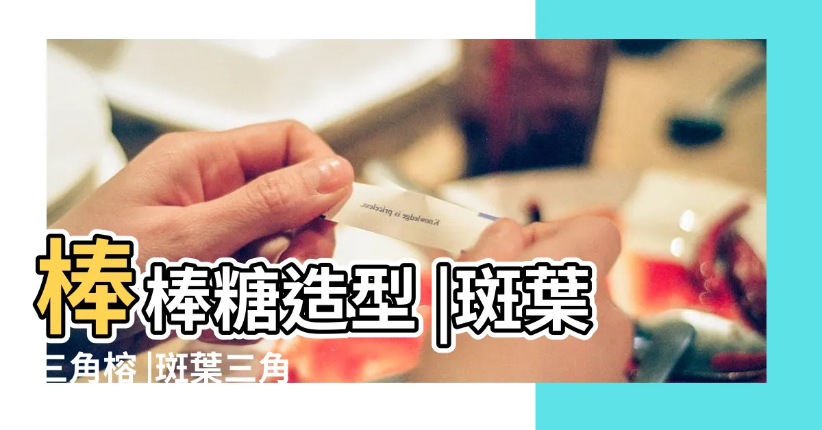 【斑葉三角榕】棒棒糖造型 |斑葉三角榕 |斑葉三角榕 |