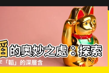 【韜的意思】韜的奧妙之處：探索漢字「韜」的深層含意