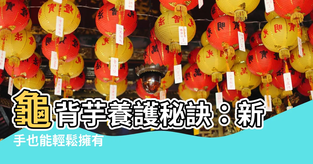 【龜背芋養護】龜背芋養護秘訣：新手也能輕鬆擁有