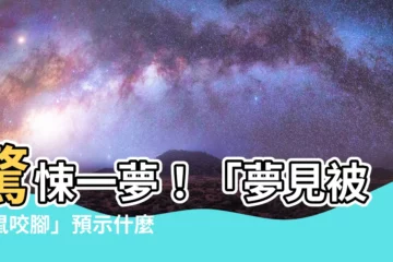 【夢見被老鼠咬腳】驚悚一夢！「夢見被老鼠咬腳」預示什麼？一窺夢中鼠輩入侵的深意