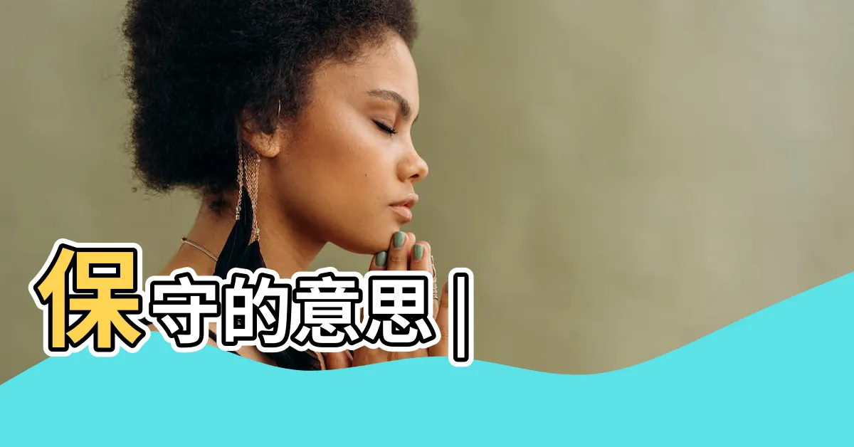 【保守意思】保守的意思 |