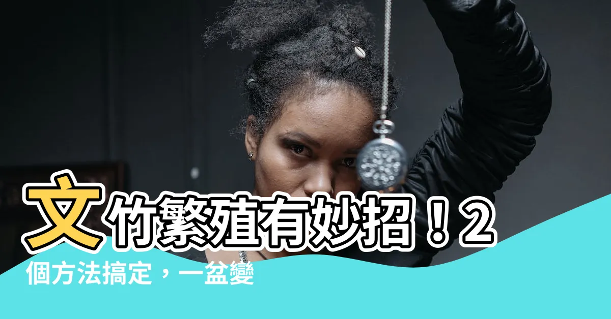 【文竹繁殖】文竹繁殖有妙招！2個方法搞定，一盆變多盆，綠意盎然！