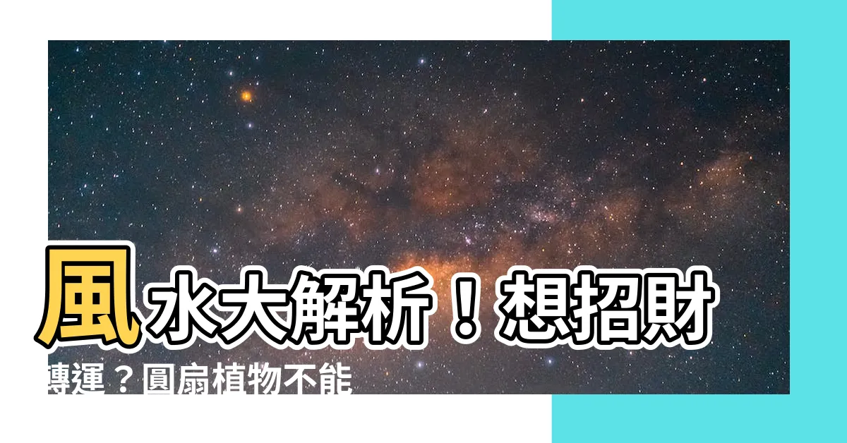 【圓扇植物風水】風水大解析！想招財轉運？圓扇植物不能錯過