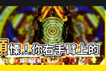 【右手臂長白毛】顫慄！你右手臂上的那撮白毛，竟暗藏著如此驚人的秘密！？