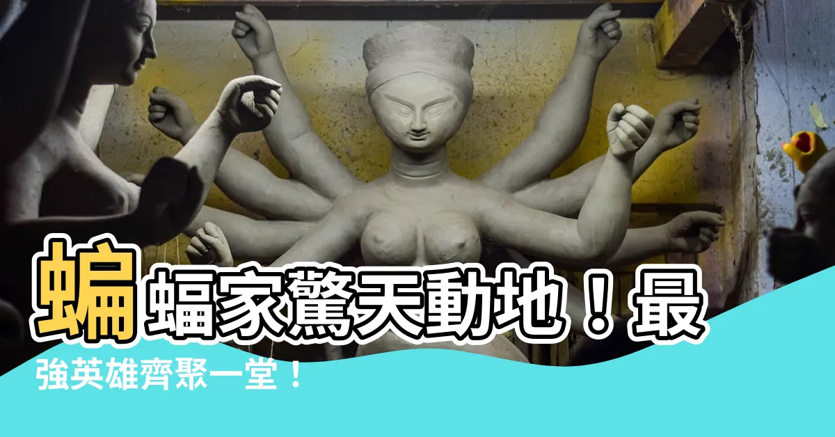 【蝙蝠 家】蝙蝠家驚天動地！最強英雄齊聚一堂！