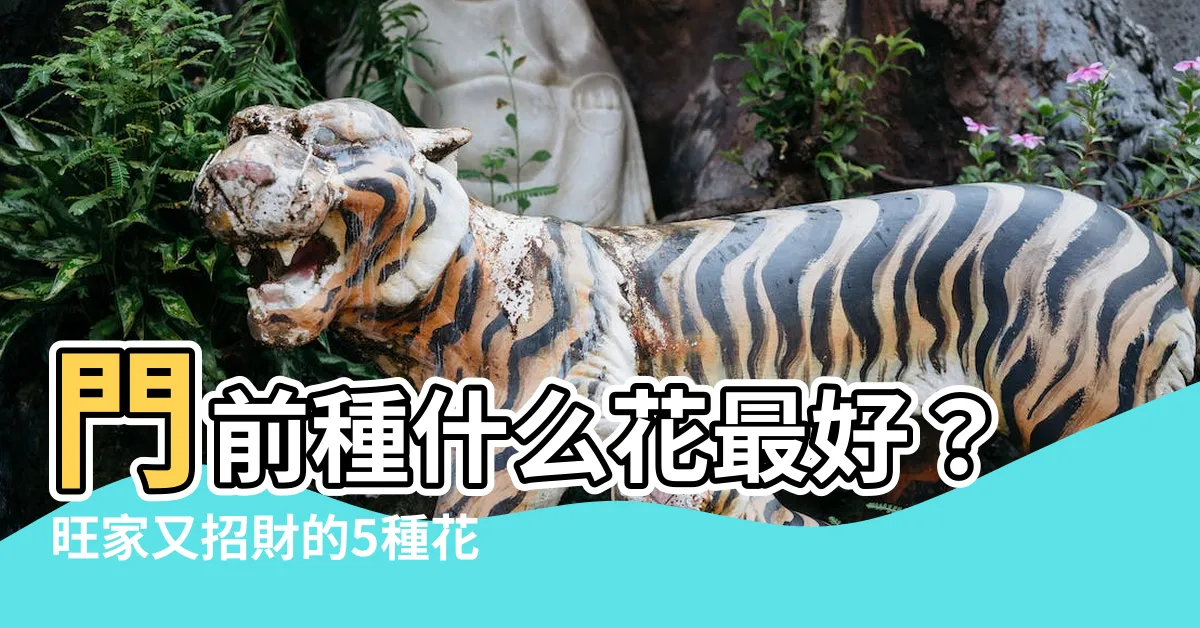【門前種什麼花最好】門前種什麼花最好？旺家又招財的5種花，快種一盆！