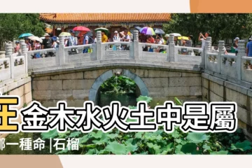 【1981年石榴木命10月生】在金木水火土中是屬於哪一種命 |石榴木命幾月出生的好 |1981年石榴木命缺什麼 |