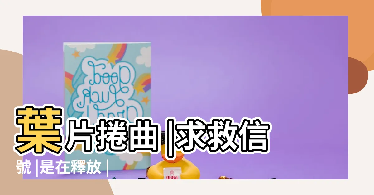 【虎尾蘭 缺水】葉片捲曲 |求救信號 |是在釋放 |
