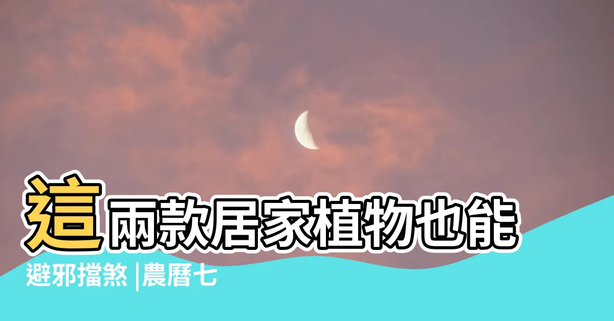 【避邪盆栽】這兩款居家植物也能避邪擋煞 |農曆七月 |3植物避邪防卡陰 |
